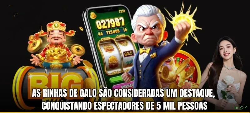 Checklist para avaliar a plataforma br222